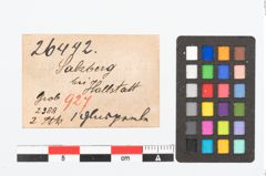 Etikett zu Glasperle (NHMW-PRAE-026442)